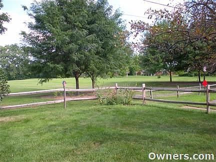 Backyard view