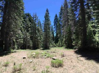 Winding Way #4-J-10, McCloud, CA 96057