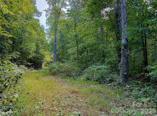 99999 High Top Mountain Rd LOT 2, Leicester, NC 28748