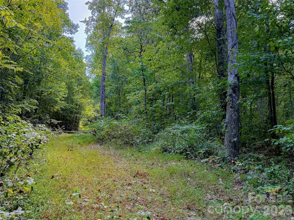 99999 High Top Mountain Rd Lot 2, Leicester, NC 28748