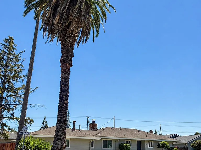 1010 Mason St — Photo 1