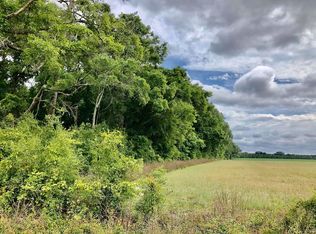 Unassign Northeast Ave #998, Branford, FL 32008