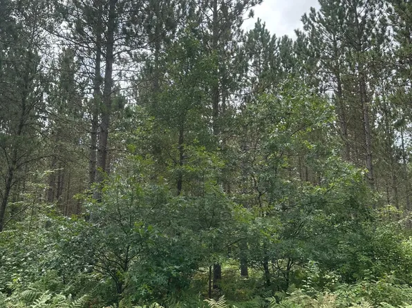 Lee Rd Lot 3, Tomahawk, WI 54487