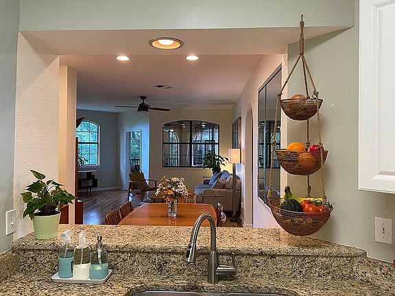Kitchen marsh and tree views