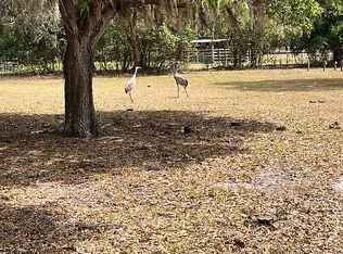 14009 Sweat Loop Rd, Wimauma, FL 33598