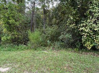 4431 TARRAGON Avenue, Middleburg, FL 32068