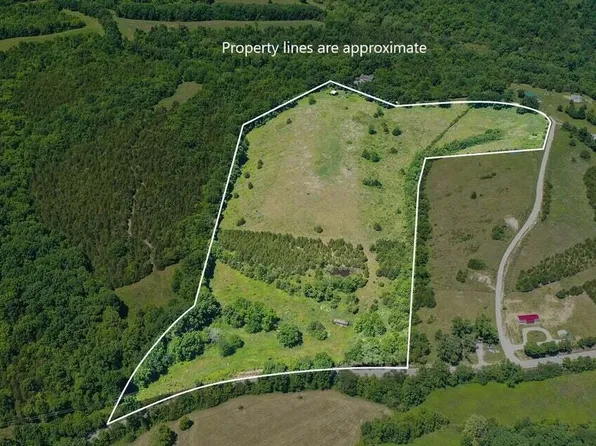 217 Sergent Petrey Lndg, Falmouth, KY 41040
