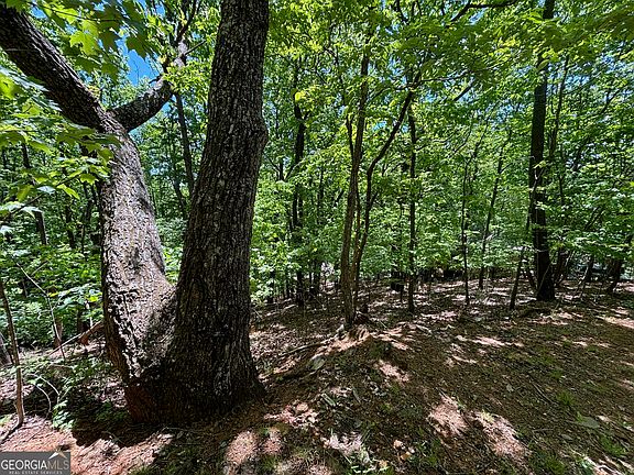 5th image of 0 Lookout Ridge Rd #11