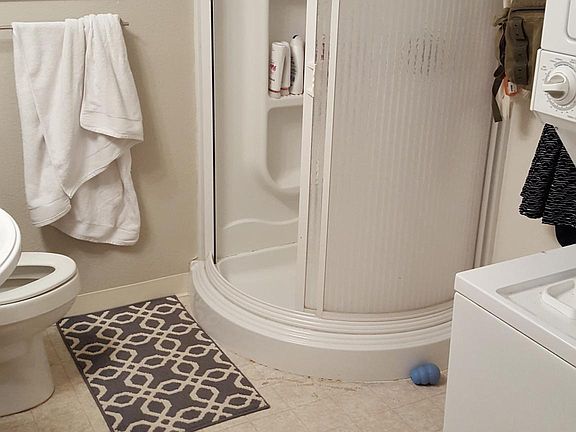 Lower level bathroom