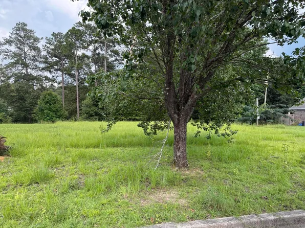 20 W Lakeview Dr, Columbia, MS 39429