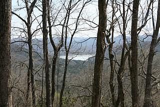 1st image of 0 Duke Ln Lot Tr 1