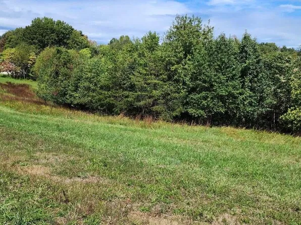 PARCEL Hardy Rd #C, Hardy, VA 24101