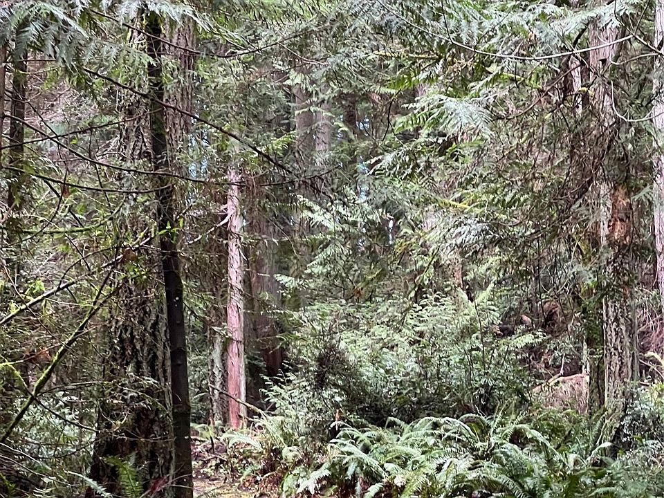 2nd image of 0 xxx Dana Drive NW