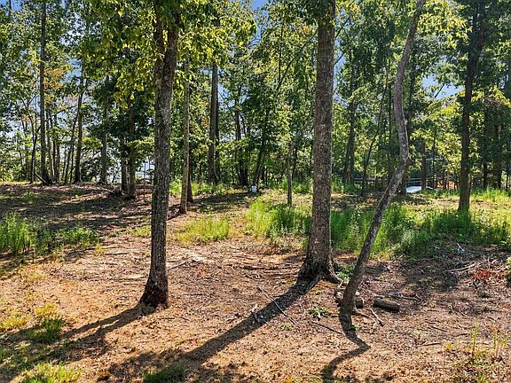 4th image of 104 Waterfall Overlook Way