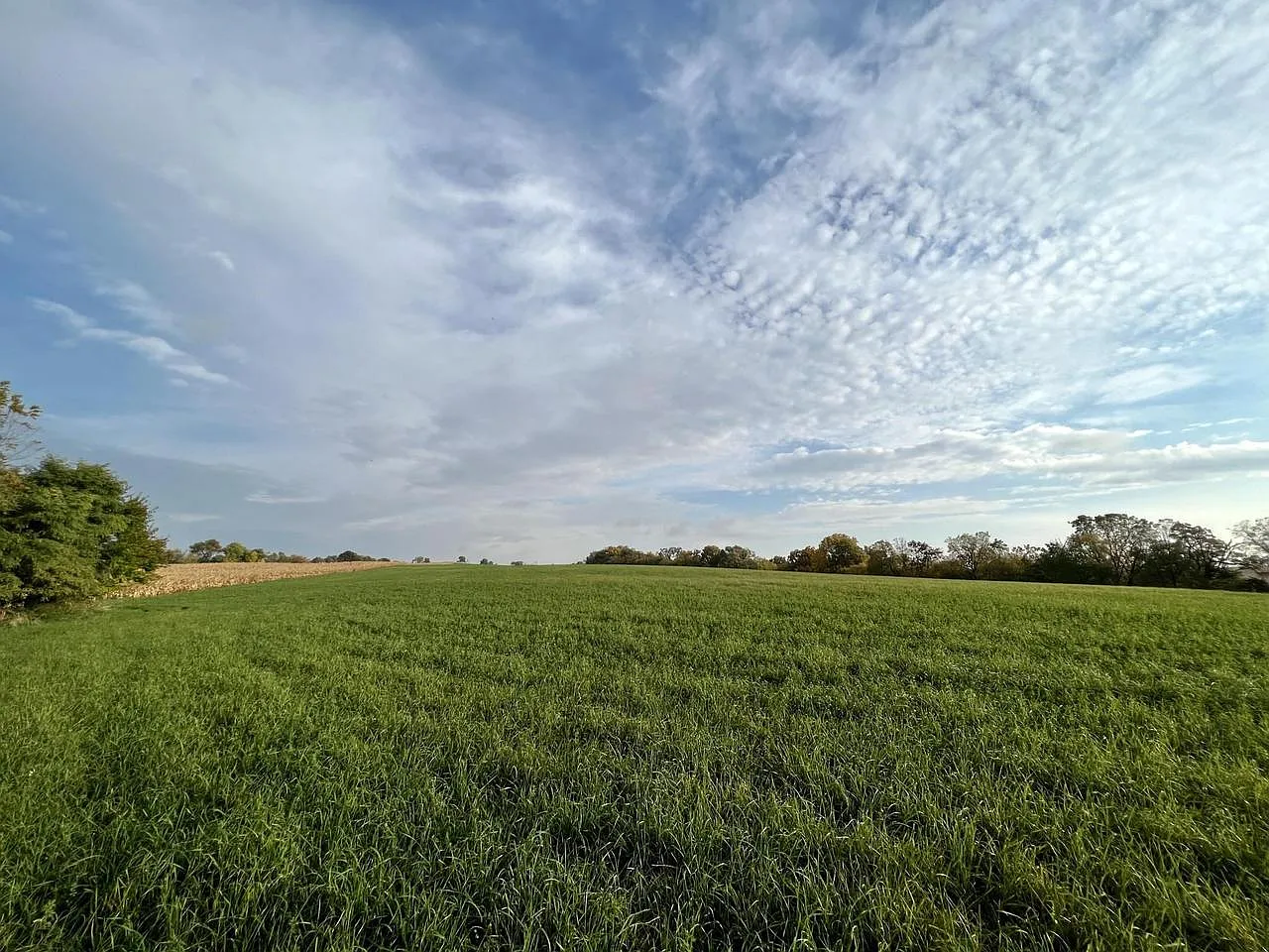 Lot 4 Burr Oak Lane #4 photo 1