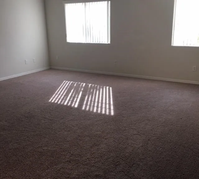 343 Hollins Hall St — Photo 16