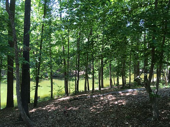 Lot shoreline from lot