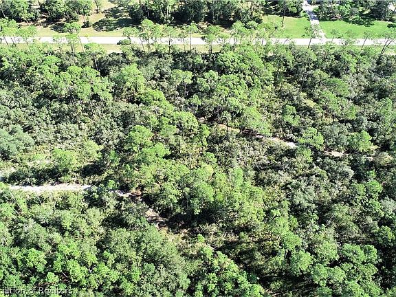 5th image of 3023 Woodland Creek Trl