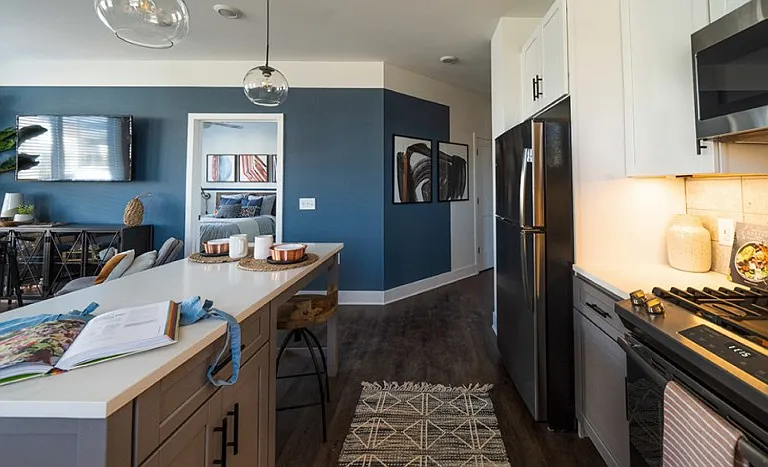 Arlo — Photo 3