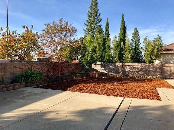 Zero Maintenance Back Yard