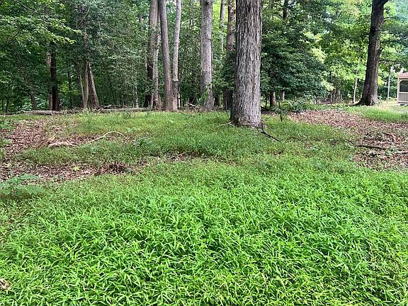 4th image of 12955 Old Fort Rd