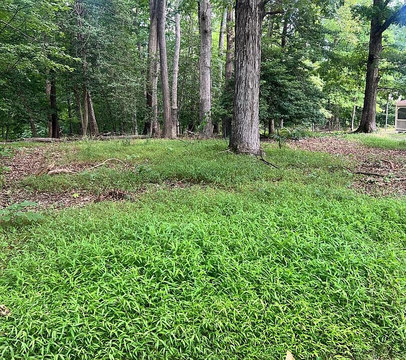 1st image of 12955 Old Fort Rd