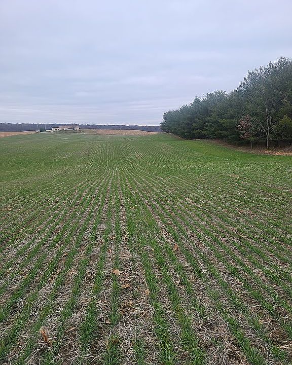 2nd image of E Metz Rd