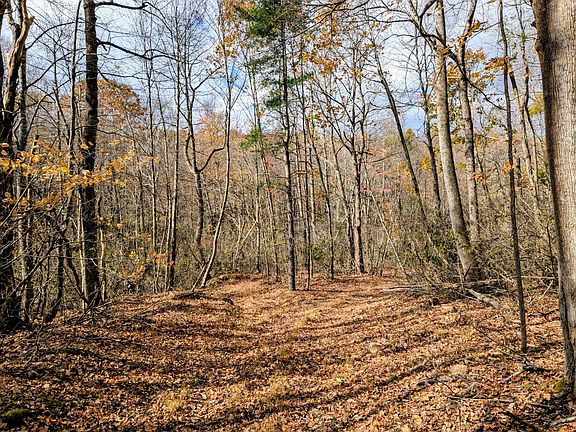 44th image of this home