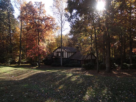 Fantastic hardwood trees