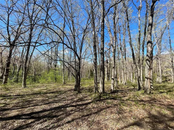 12 Fanning Hills Pl, Center, MO 63436