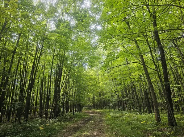 Lot 8 Ken Can Lane, Webster, WI 54893