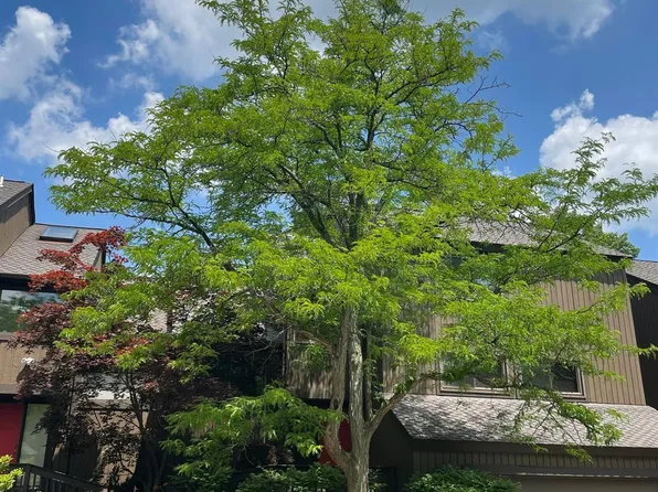 7 Northwick Ct, Ann Arbor, MI 48105