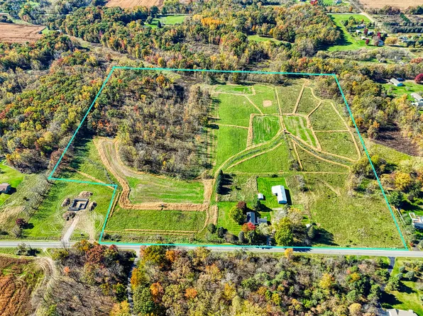 9700 Fenner Rd, Perry, MI 48872