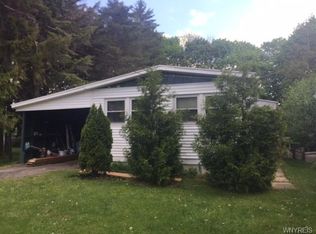 22 Andrus Ave, Perry, NY 14530