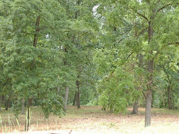 4th image of 3461 Oak Hollow Dr