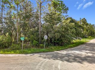 13542 ROBIN AVENUE LOT 1, WEEKI WACHEE, FL 34614
