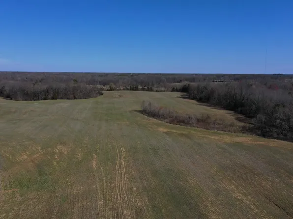 0 Dave Miller Rd, Mayfield, KY 42066