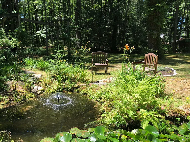 View of small pond from back of property.