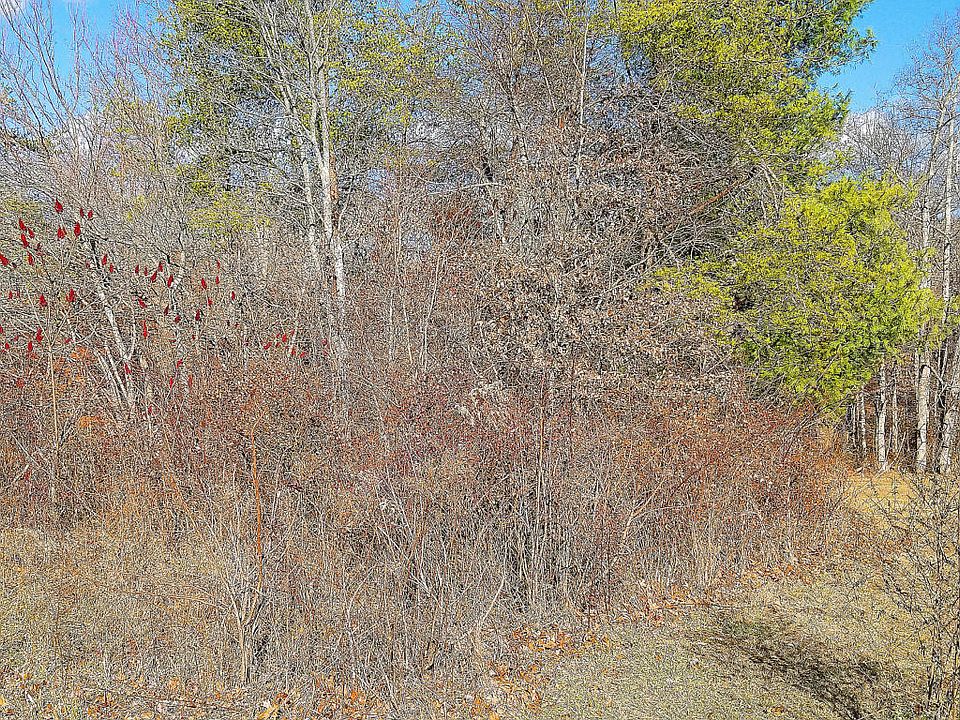 1st image of E Deer Creek Dr
