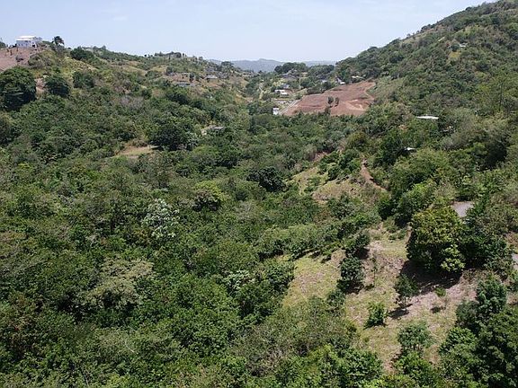 2nd image of Hacienda De Cidra Sector El Banco Bo Rabanal Parce