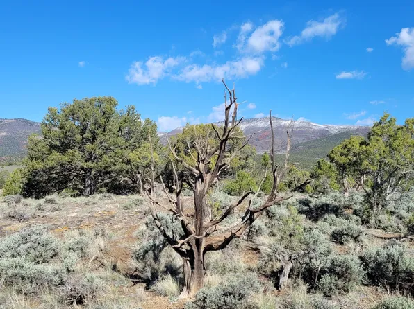 755 Pinon Crest Way, Mc Coy, CO 80463