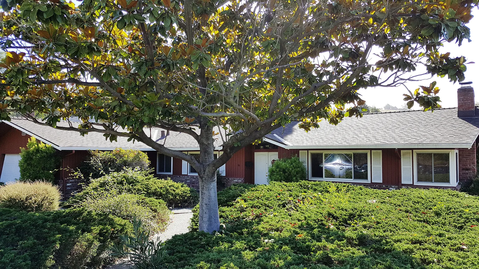 95 Donna Way photo 1