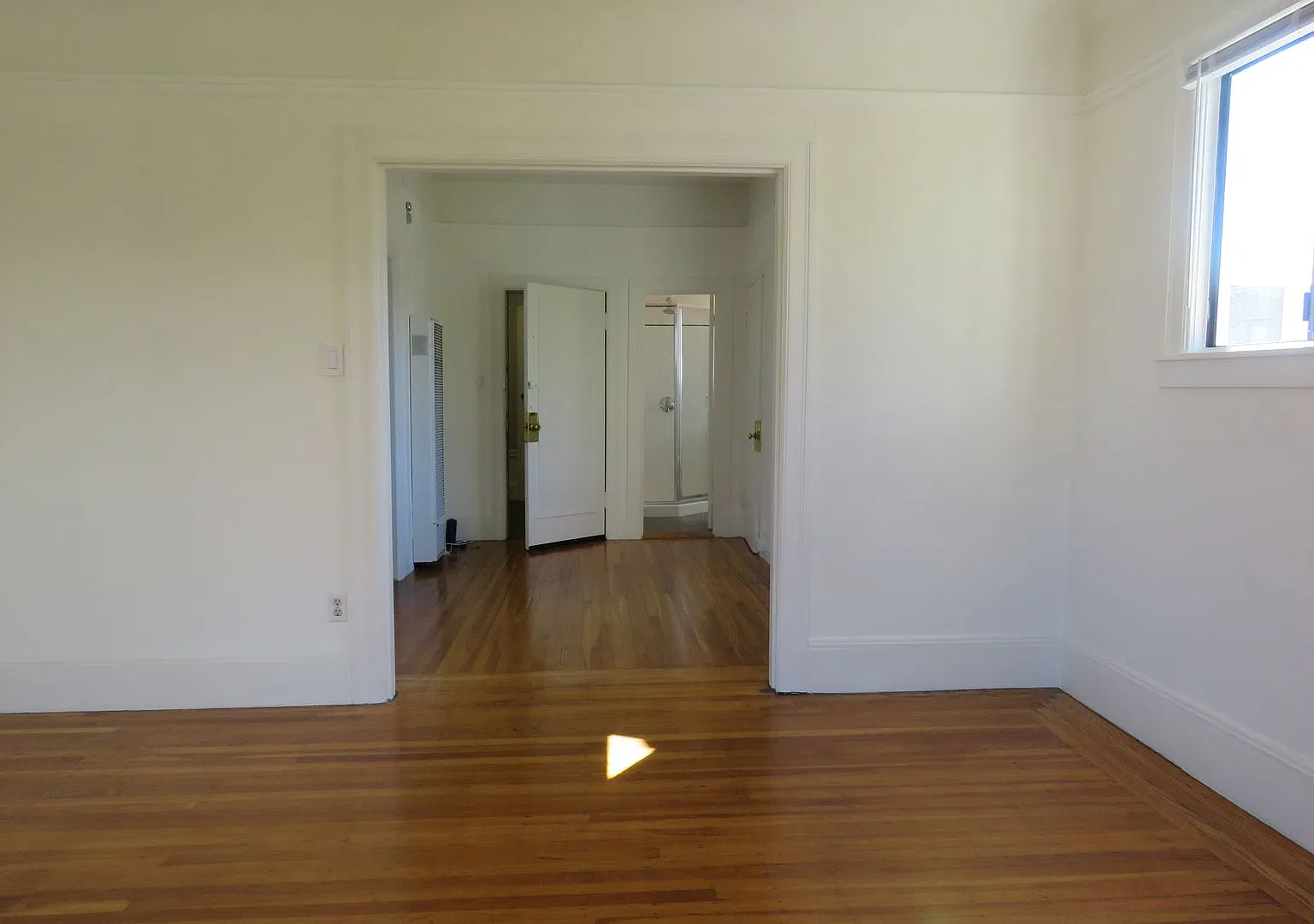 219 — Photo 4