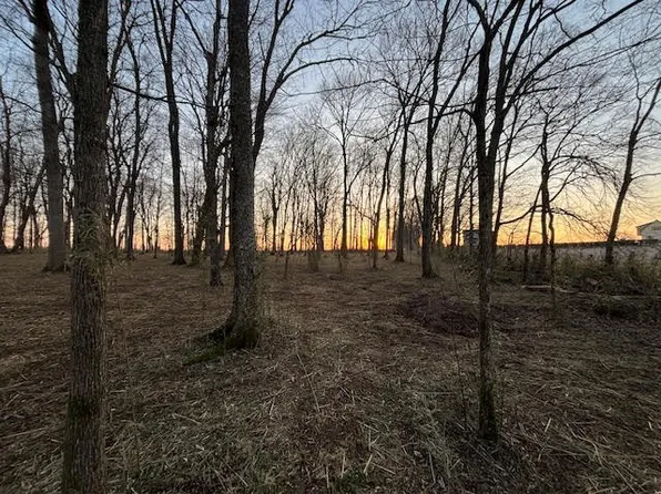 529 Greenfield Ln Lot 1, Castalian Springs, TN 37031