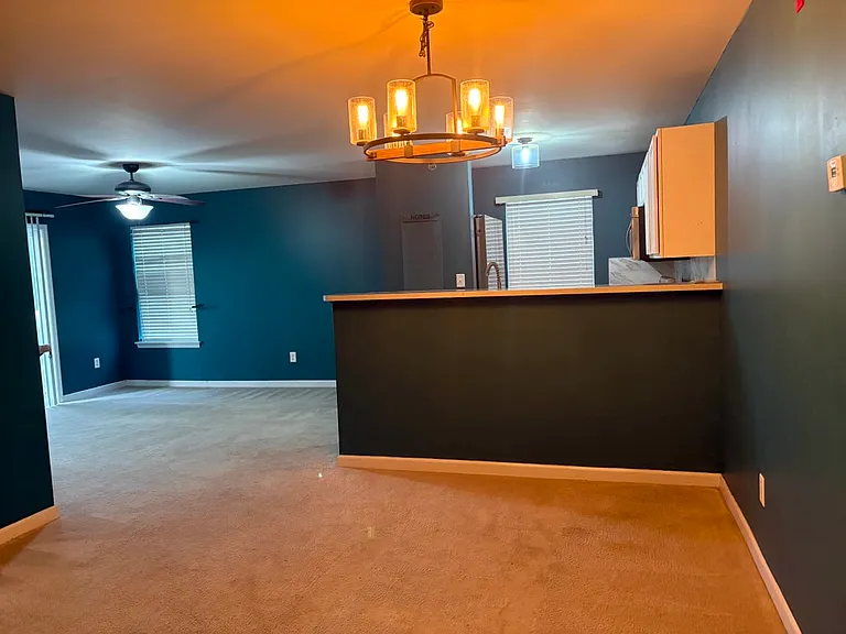 9201 Spring Creek Ln — Photo 14