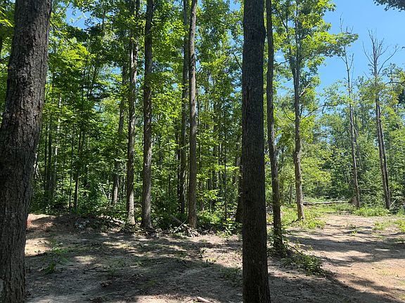 4th image of 7881 Meridian Line Rd