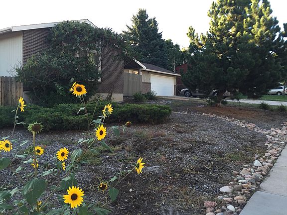 Front of 5004 Alta Loma, from street