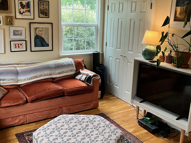 Another view of living room #2 (closet in corner)