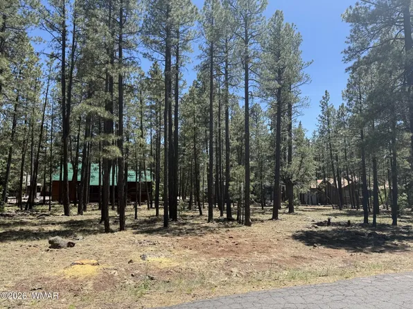 8079 Buck Springs Rd, Pinetop, AZ 85935