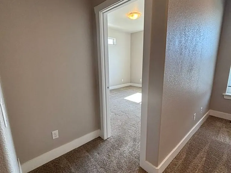 1333 Alyssa Way — Photo 18